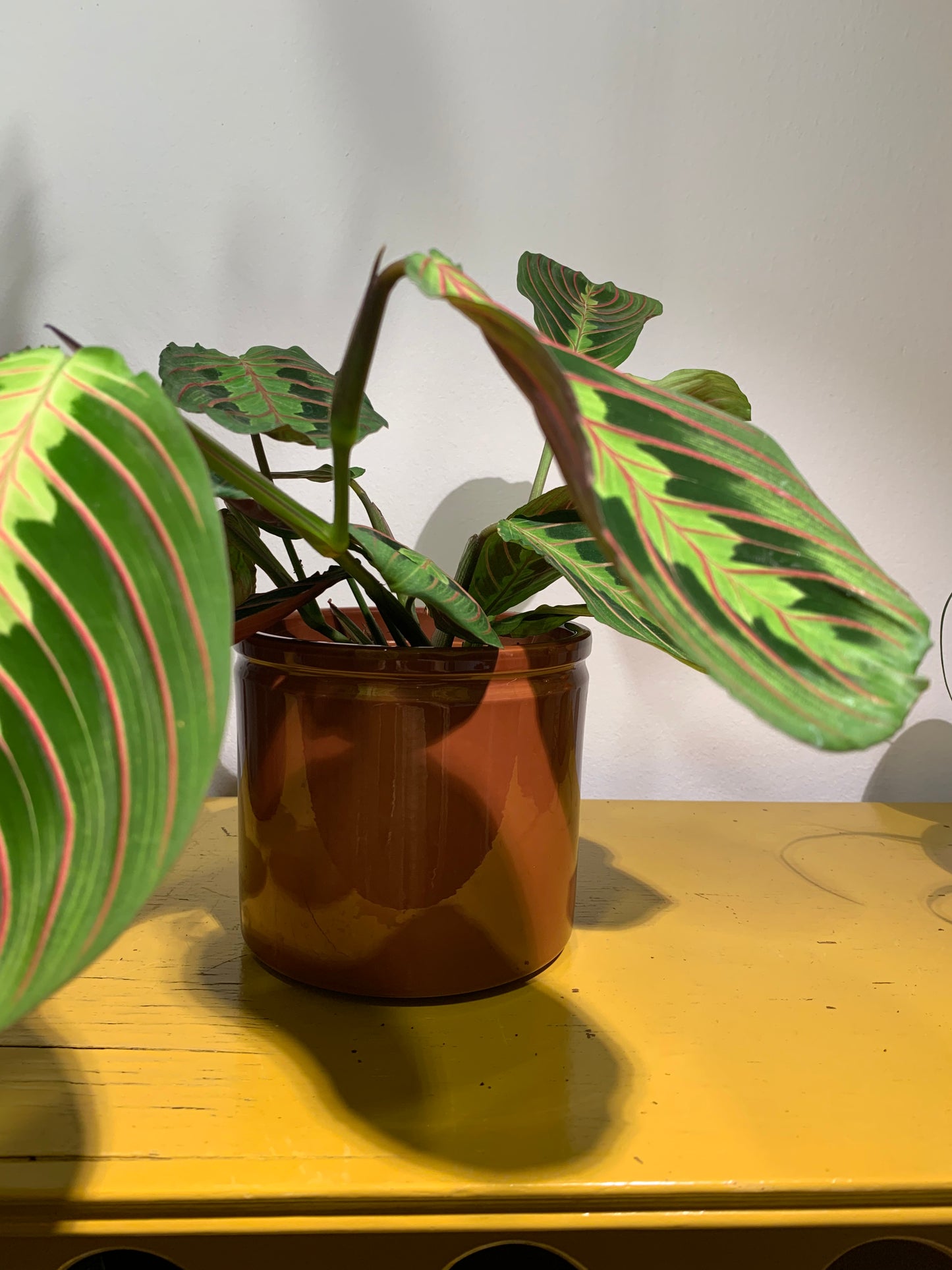 Bloempot bruin