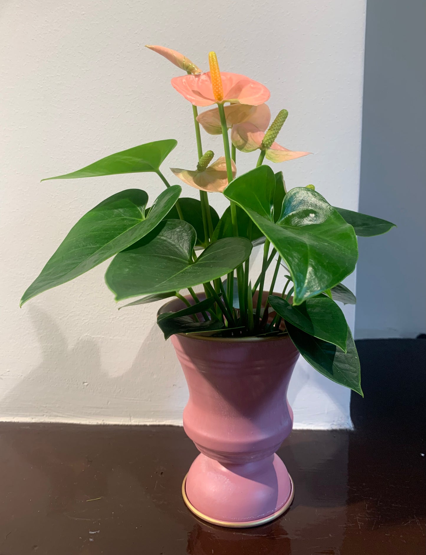 Bloempot roze S