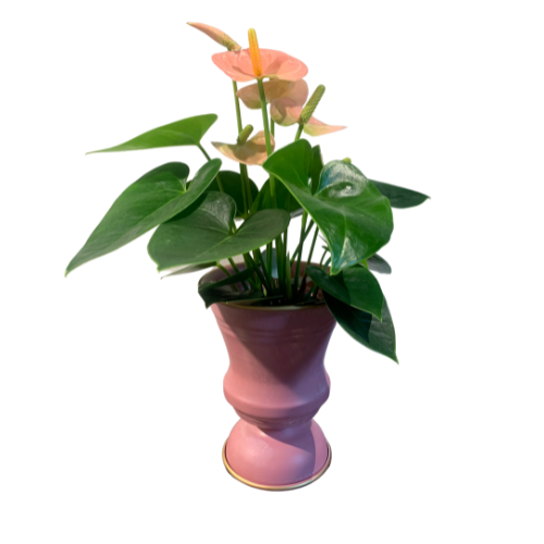 Bloempot roze S