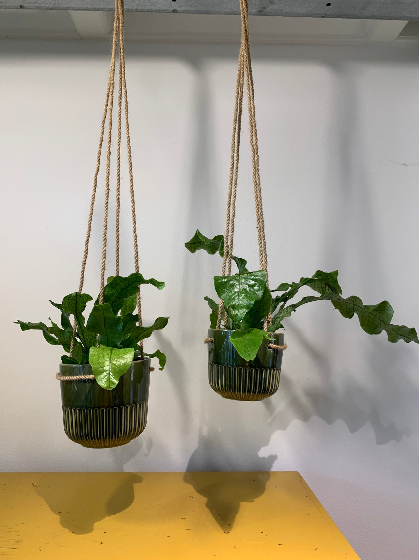 Hangpot Mica groen maat S