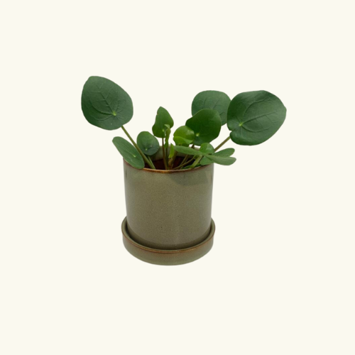 Bloempot groen met vaste schotel