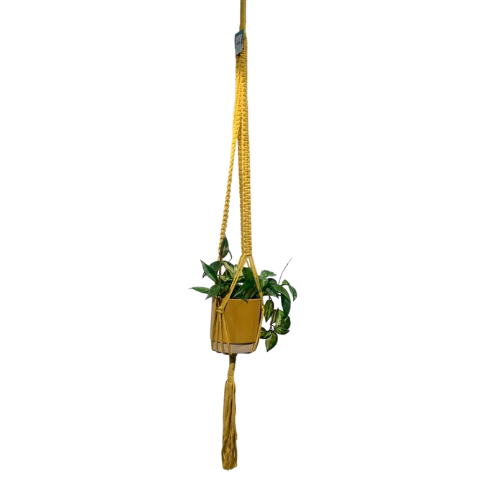 Gele macrame hanger