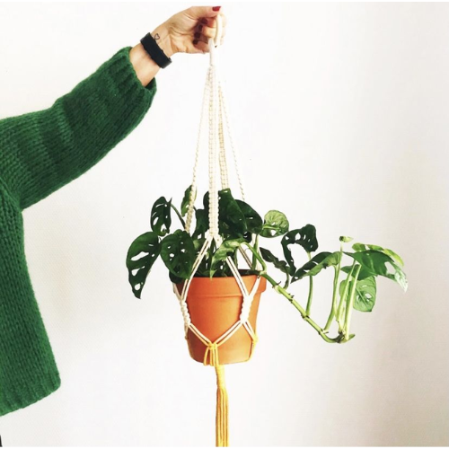 Macramé hanger DIY pakket ecru