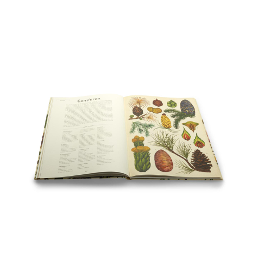 Boek Het Plantenboek