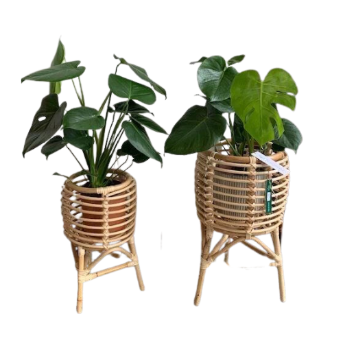 Rotan plantenstandaard klein