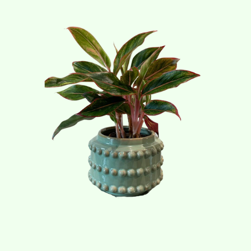 Bloempot Mica licht groen