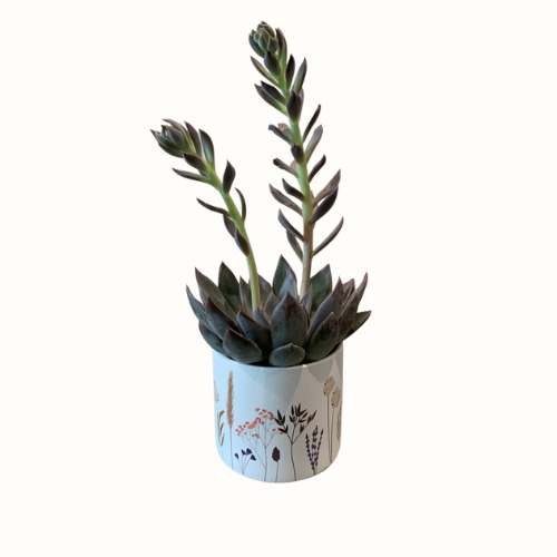 Bloempot wit met bloemen