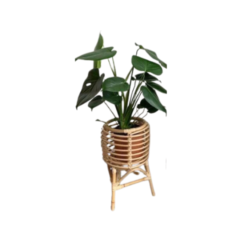 Rotan plantenstandaard klein
