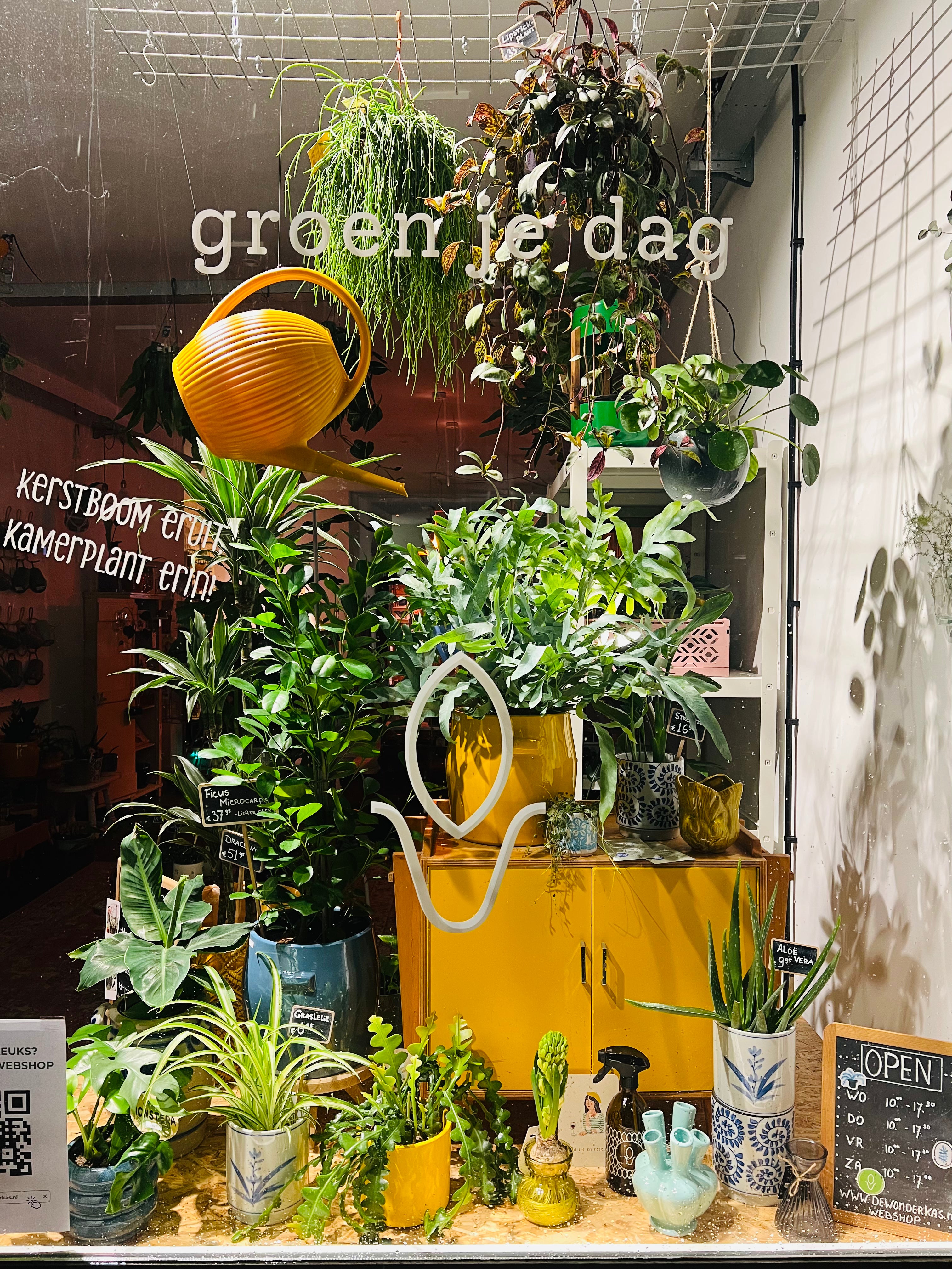 Aanraders van                   De Wonderkas