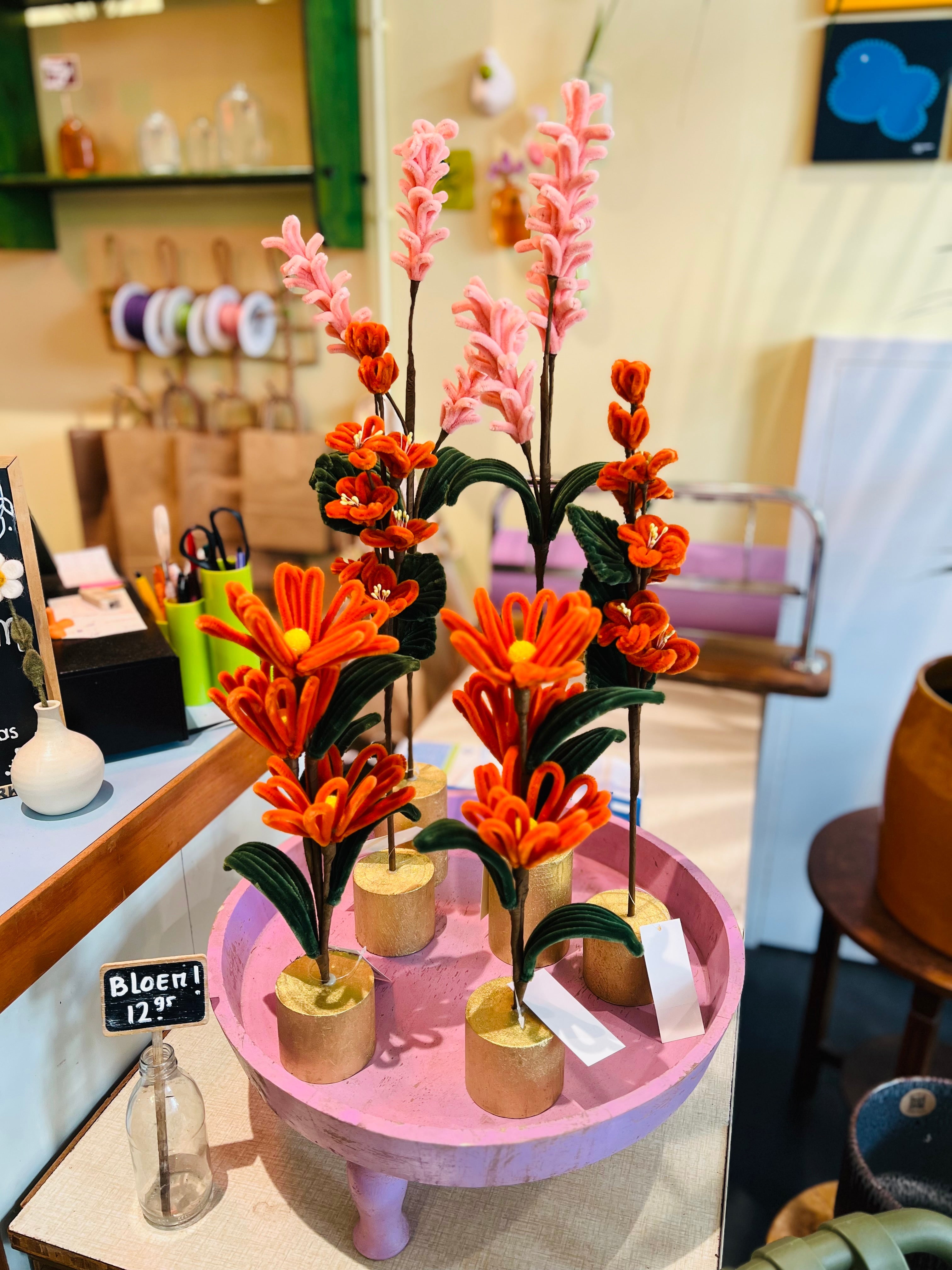 Aanraders van de Wonderkas