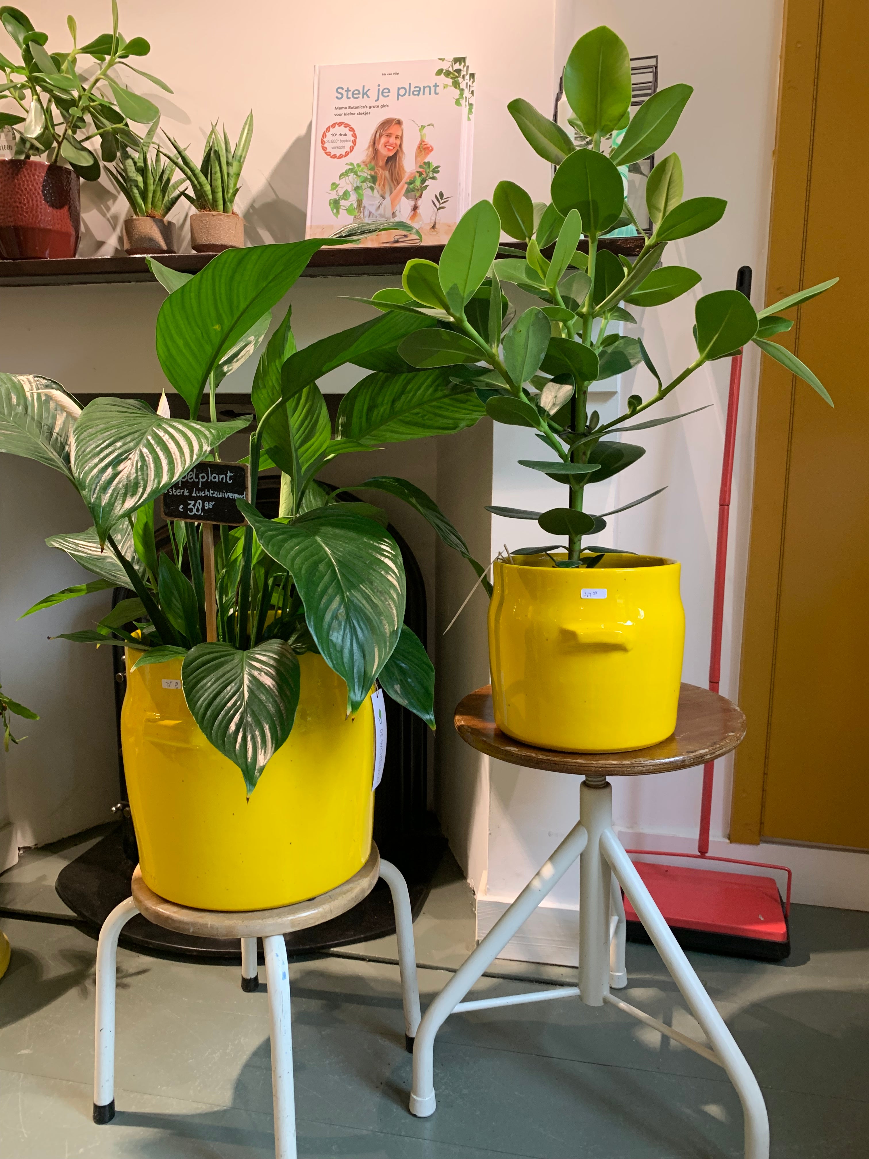 Serax - bloempot geel