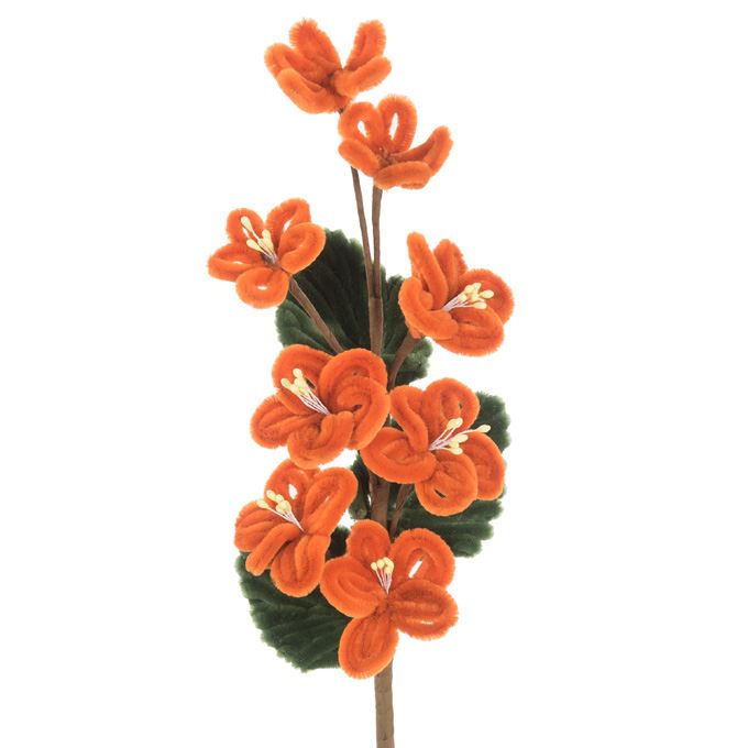 Bloem!