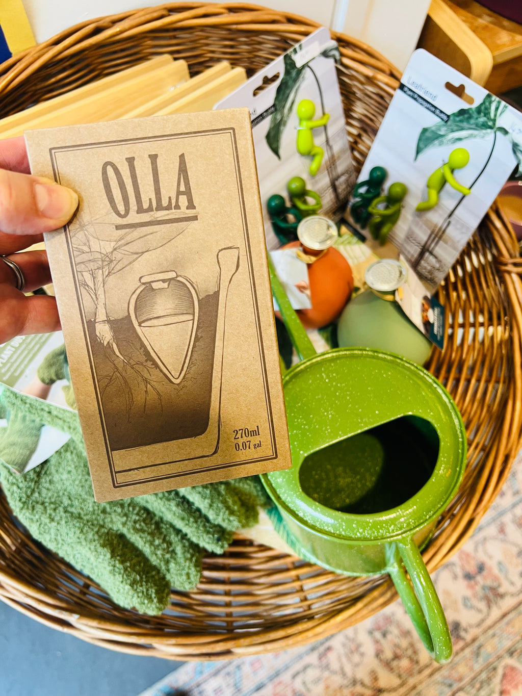 Olla voor kamerplanten