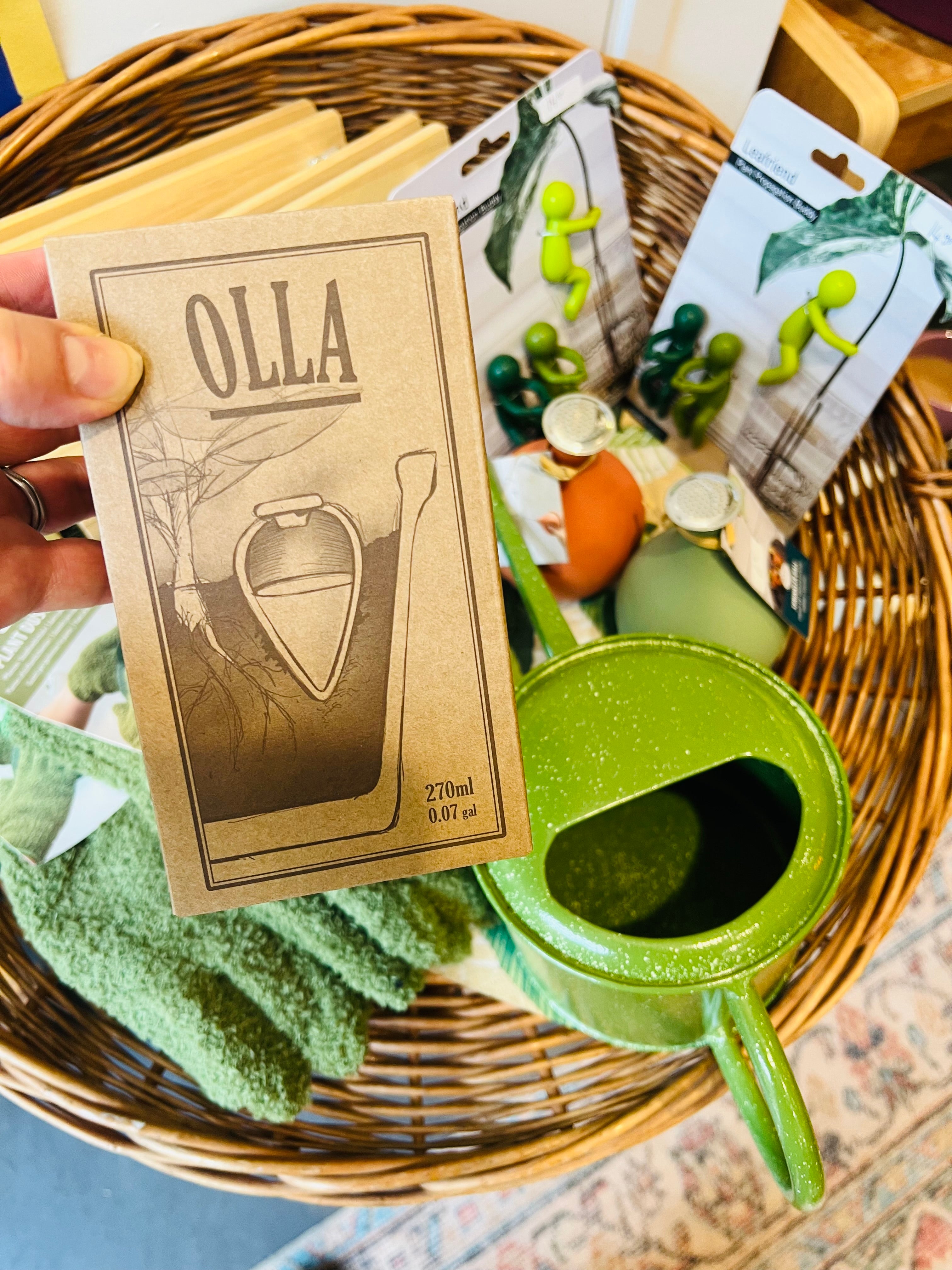 Olla voor kamerplanten