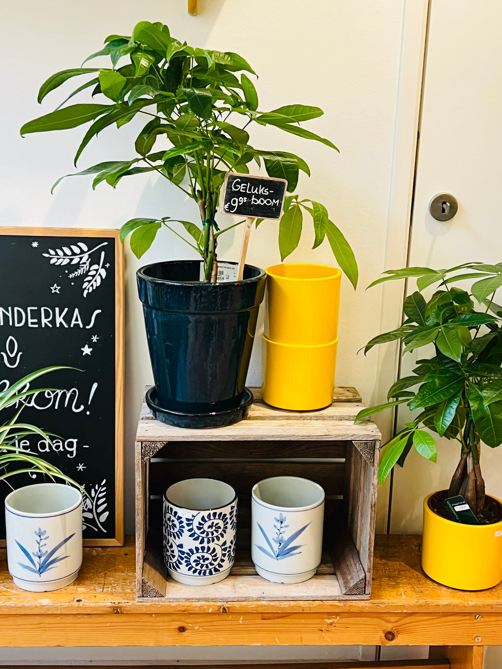 Bloempot geel maat S