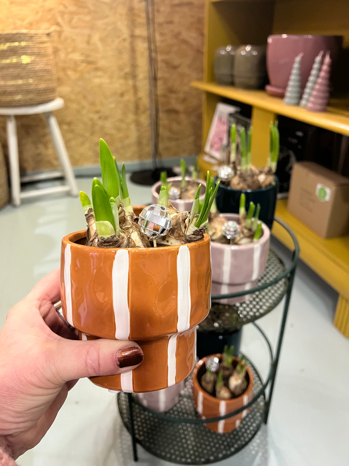 Bloempot Ariona terra met wit