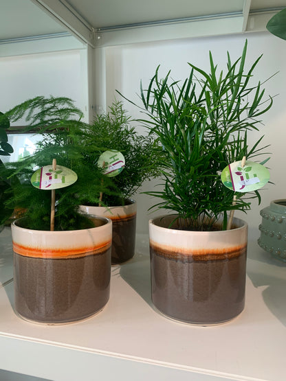 Bloempot Gus bruin met kleuraccenten