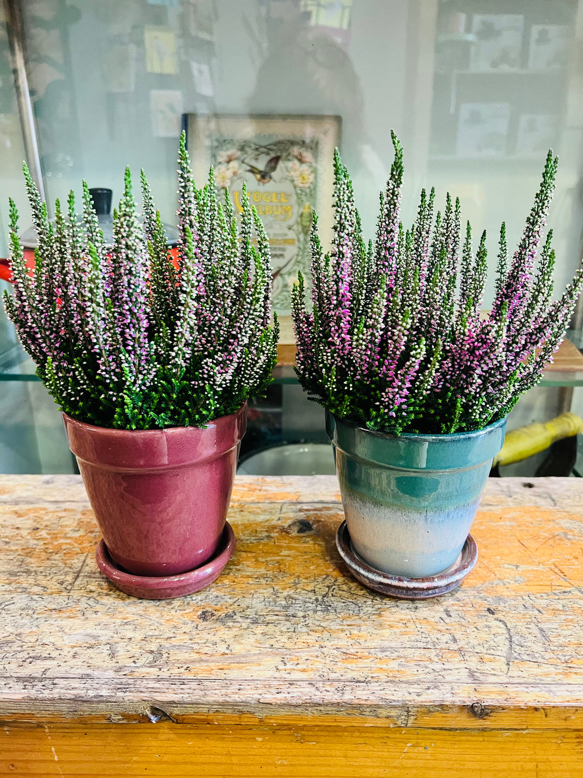 Bloempot groen/beige met vaste schotel