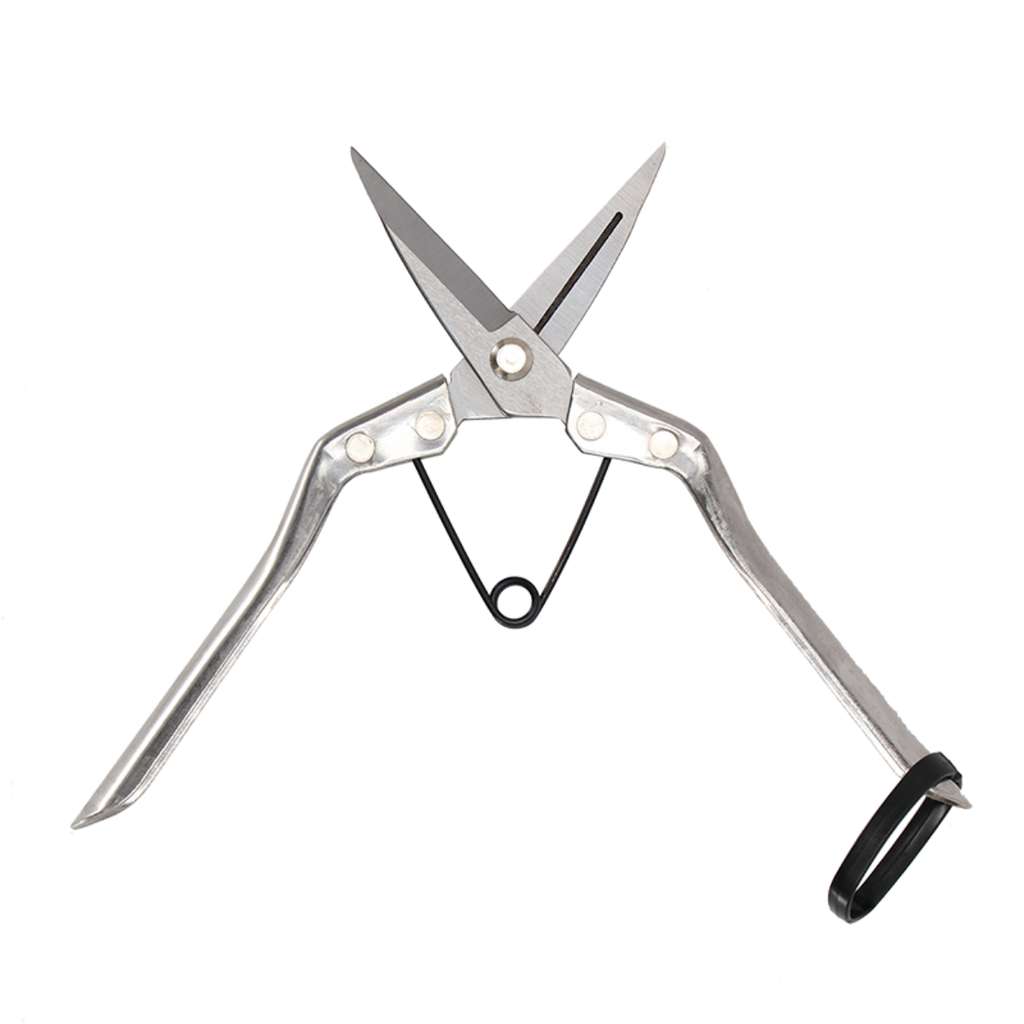 Snoeischaar kamerplanten