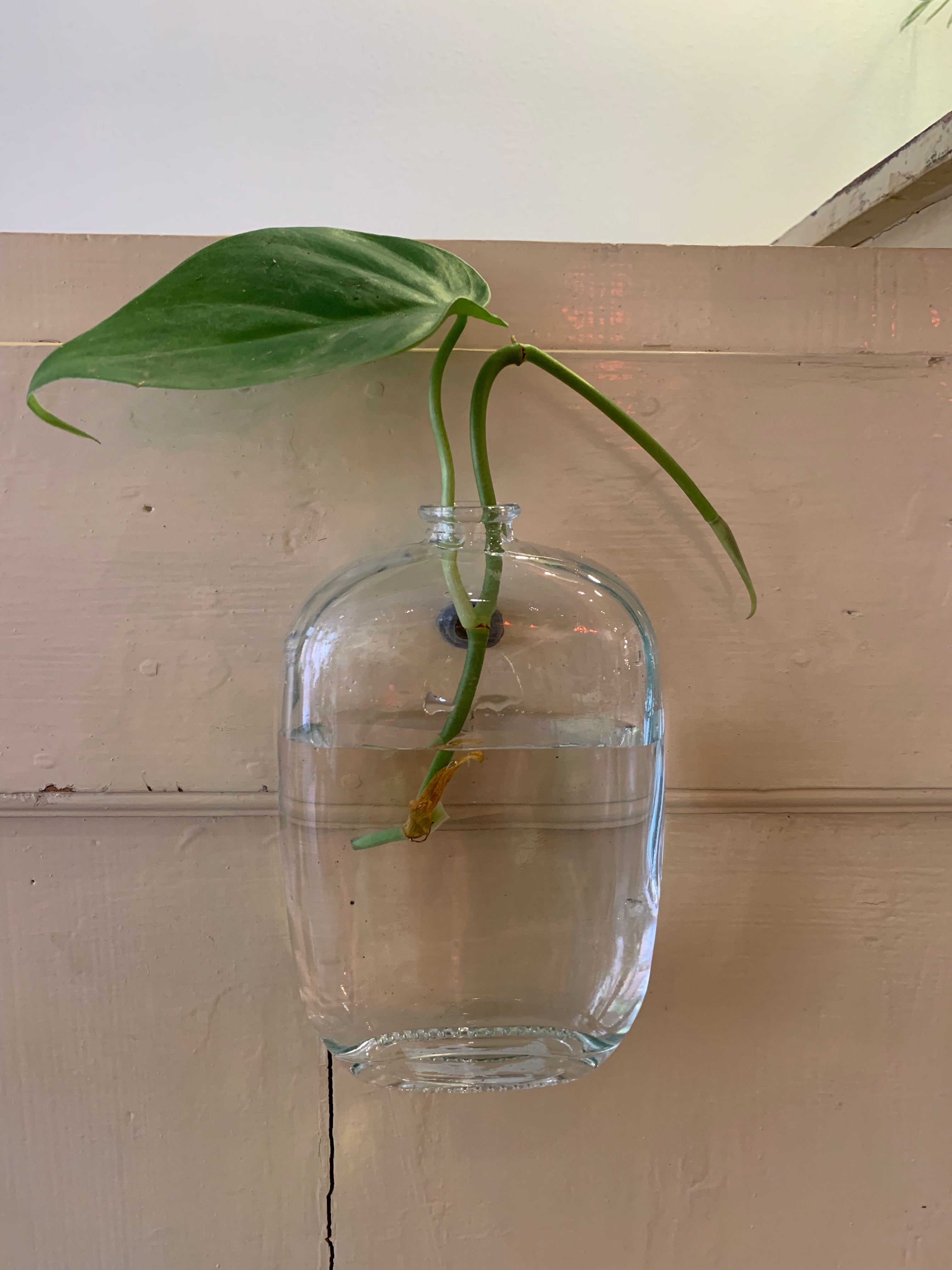 Muurvaasje doorzichtig glas met spijkergaatje, maat M