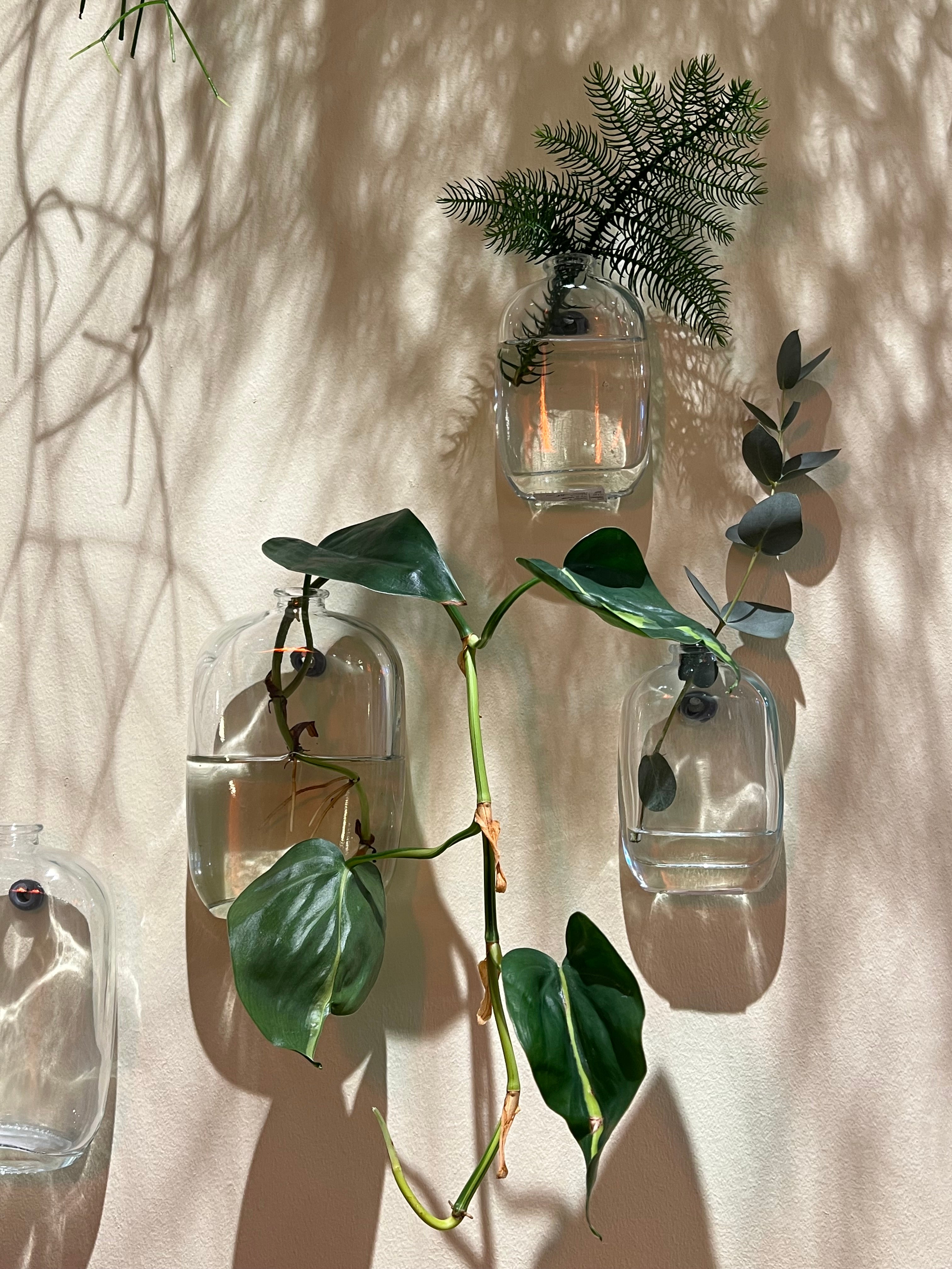 Muurvaasje doorzichtig glas met spijkergaatje, maat M