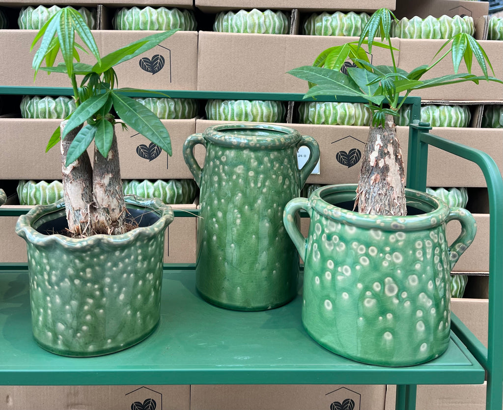 Bloempot groen gemêleerd met handvaten