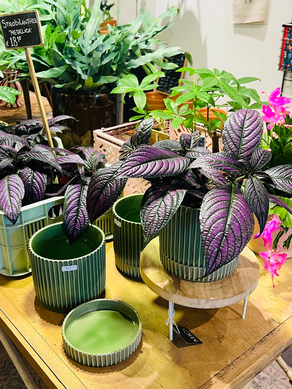 Bloempot groen met losse schotel maat M