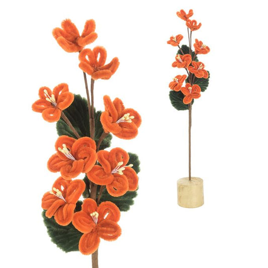 Bloem!