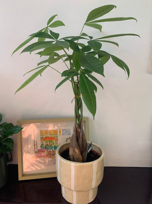 Bloempot Ariona crème met wit