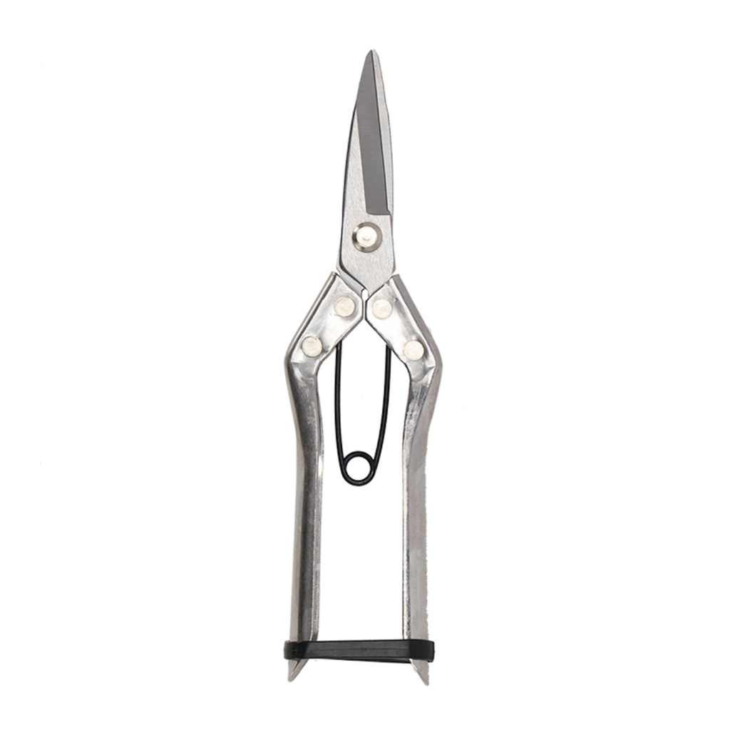 Snoeischaar kamerplanten