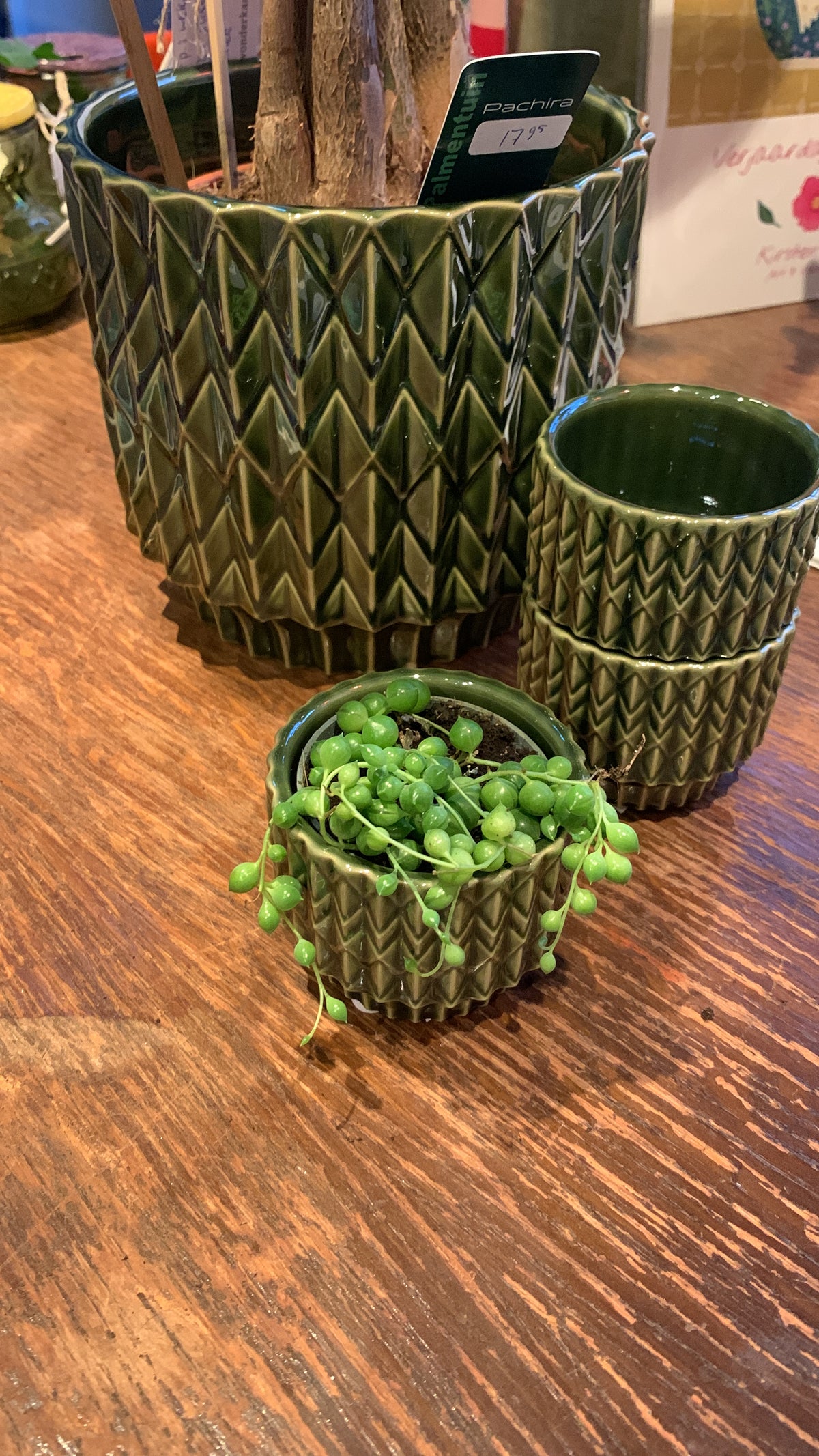 Bloempotje Lauria groen