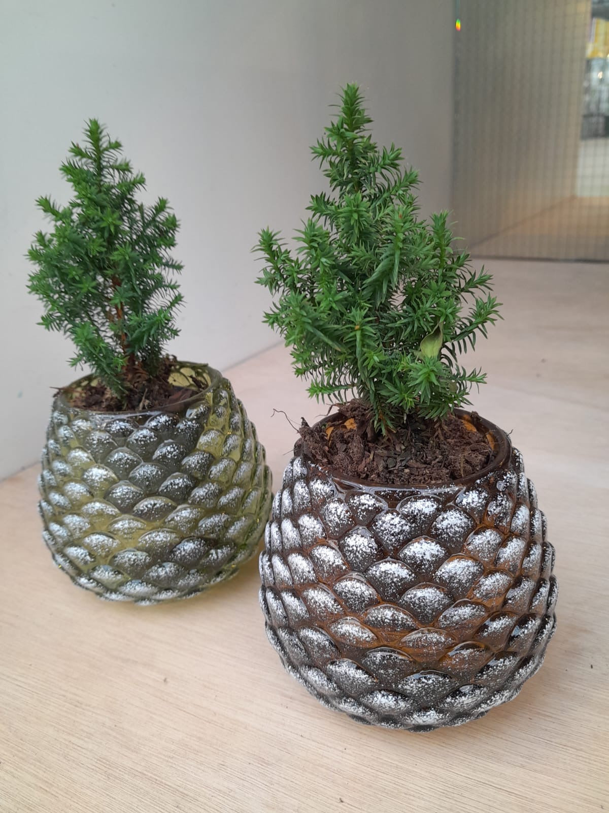 Dennenappel waxinelicht