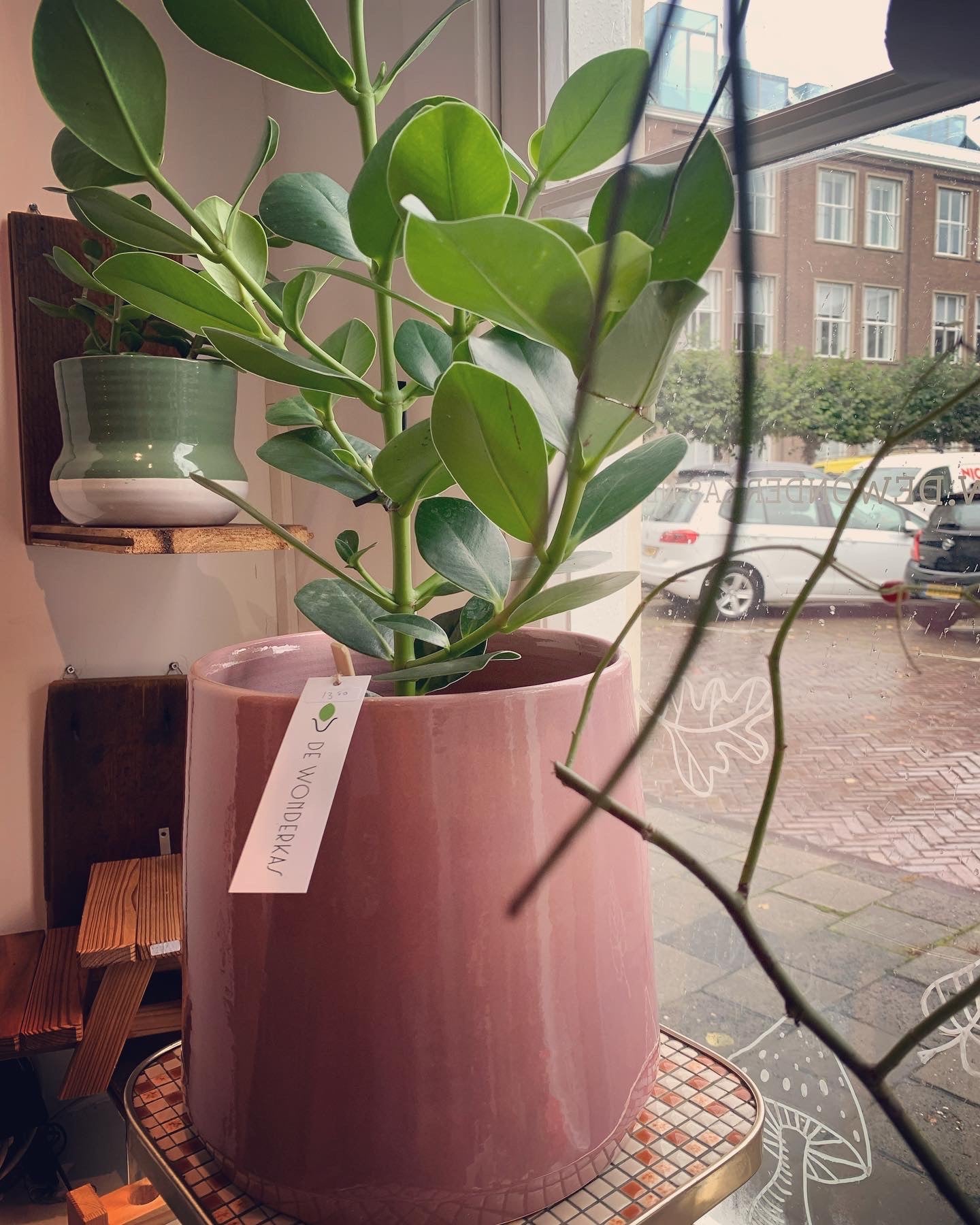 Serax - bloempot licht roze￼