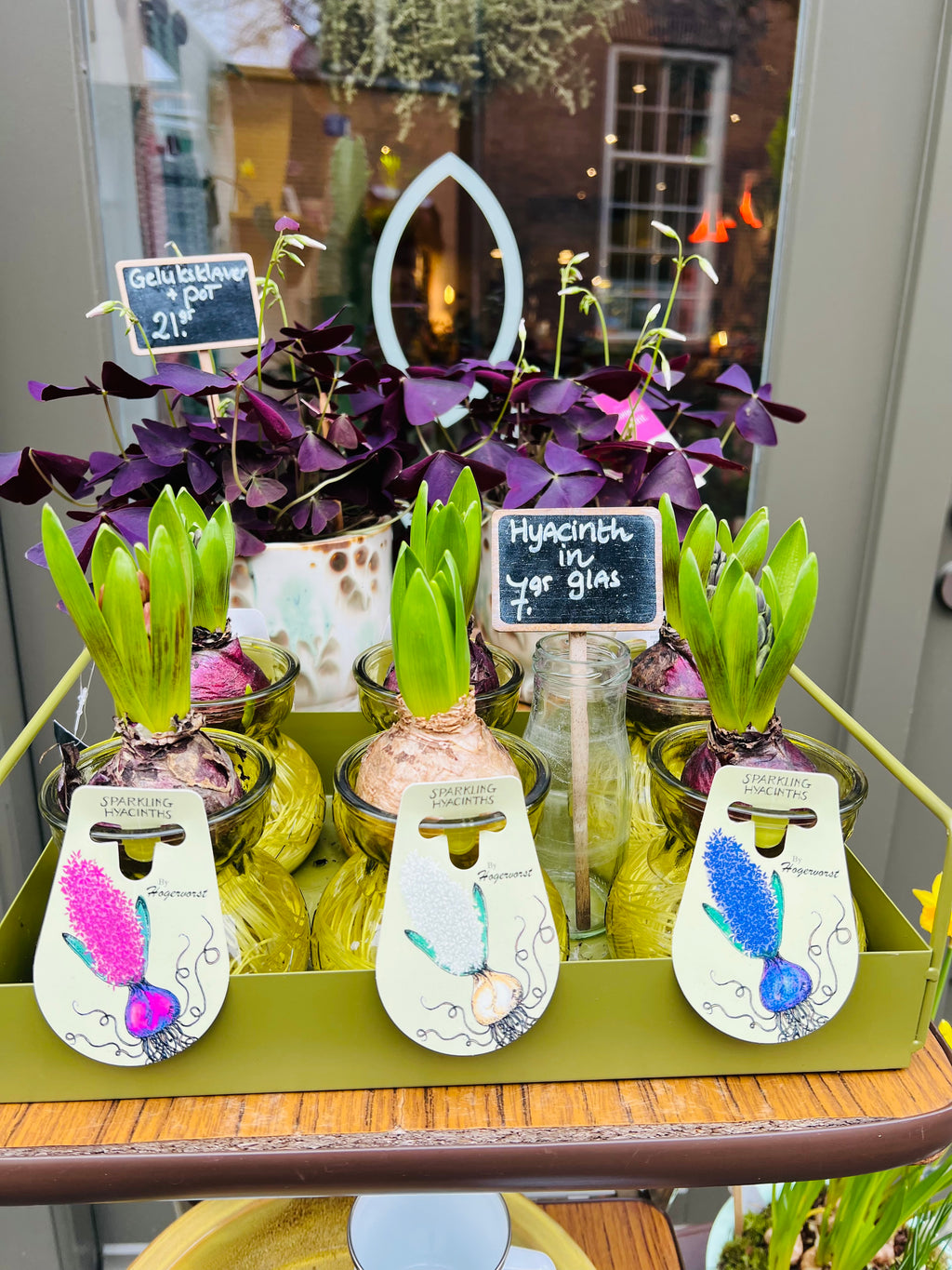 Hyacint in glas