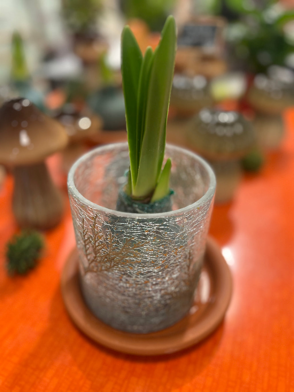 Sfeerlicht met takken