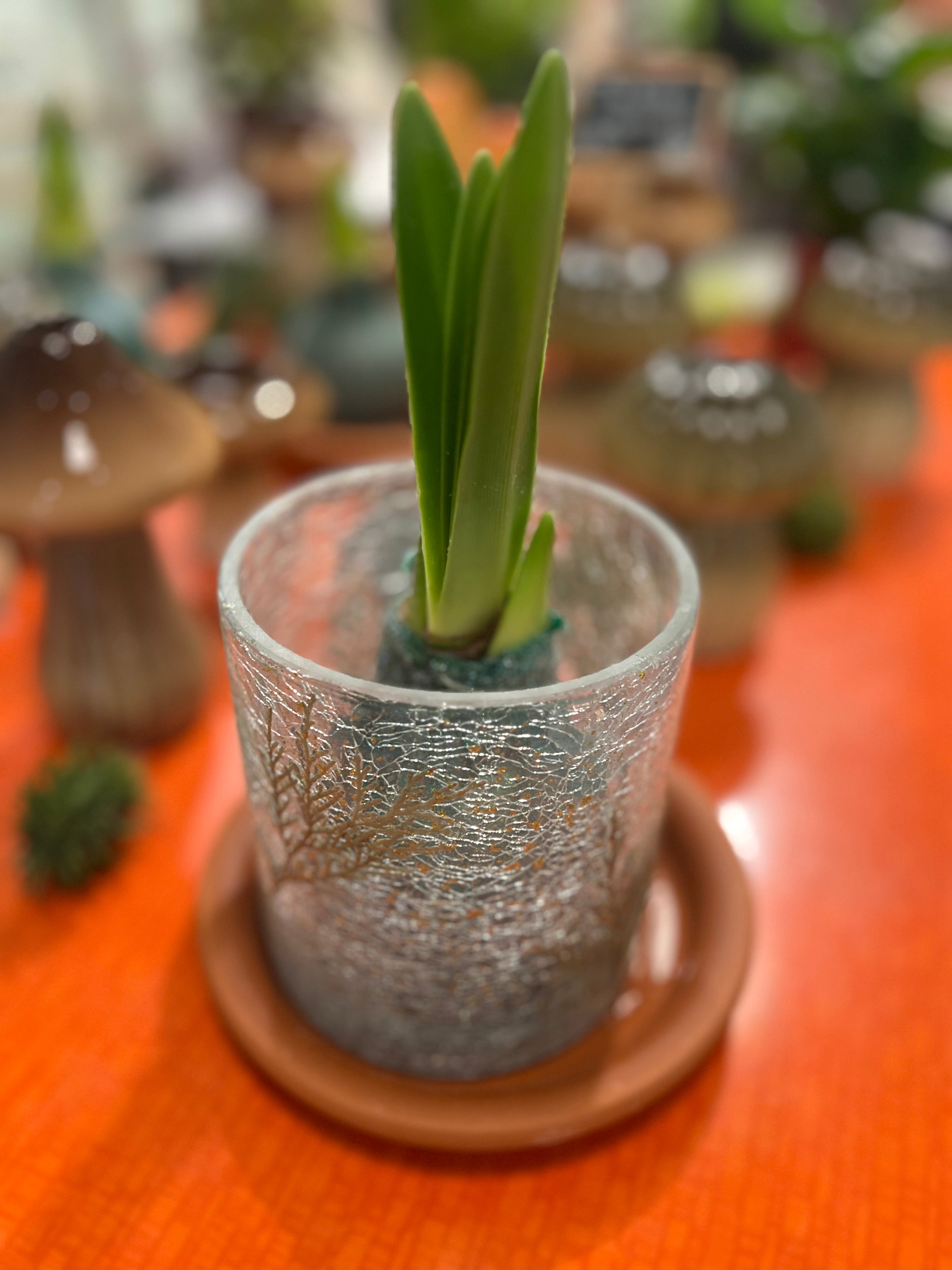 Sfeerlicht met takken