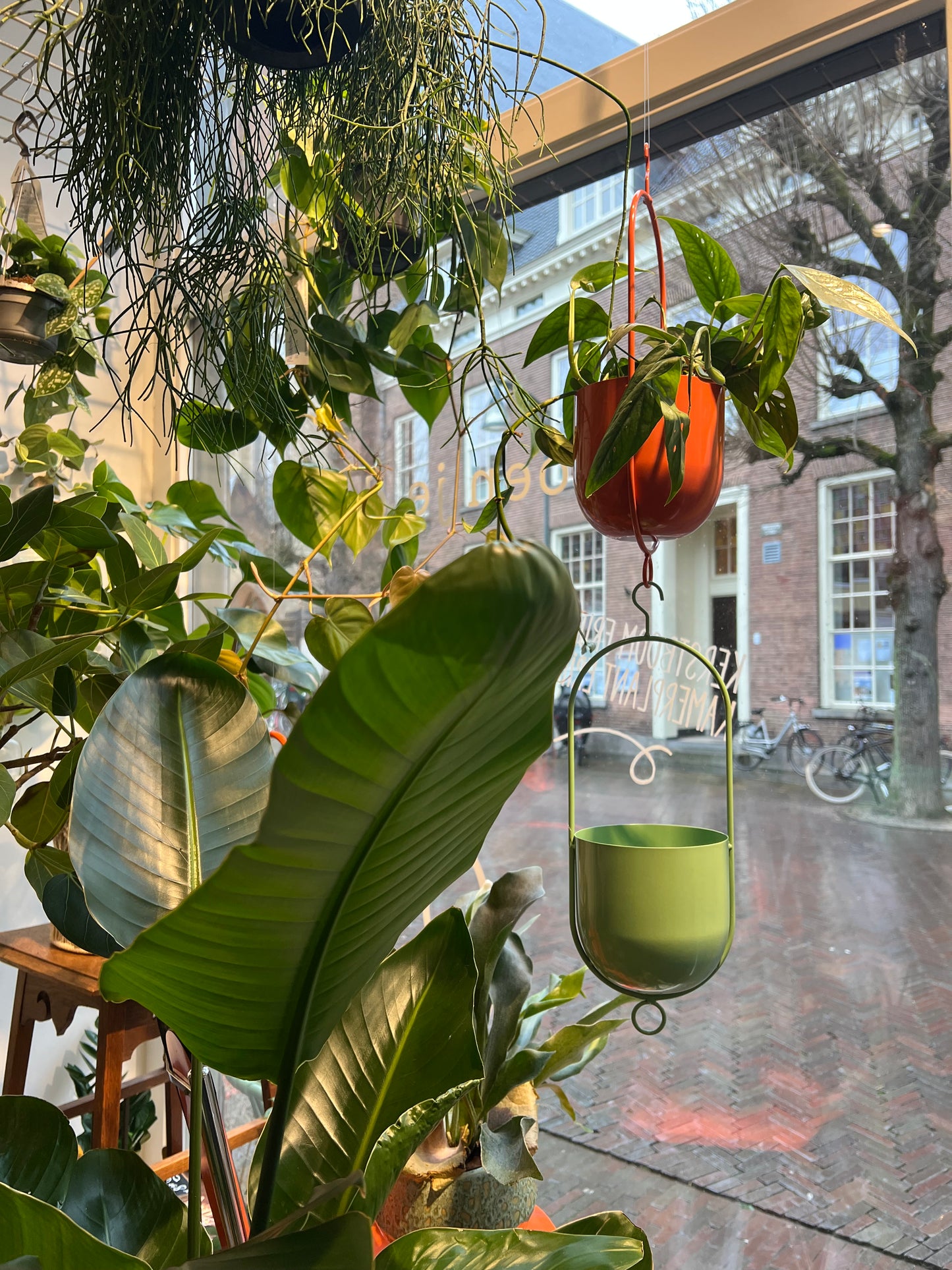 Hangpot oranje