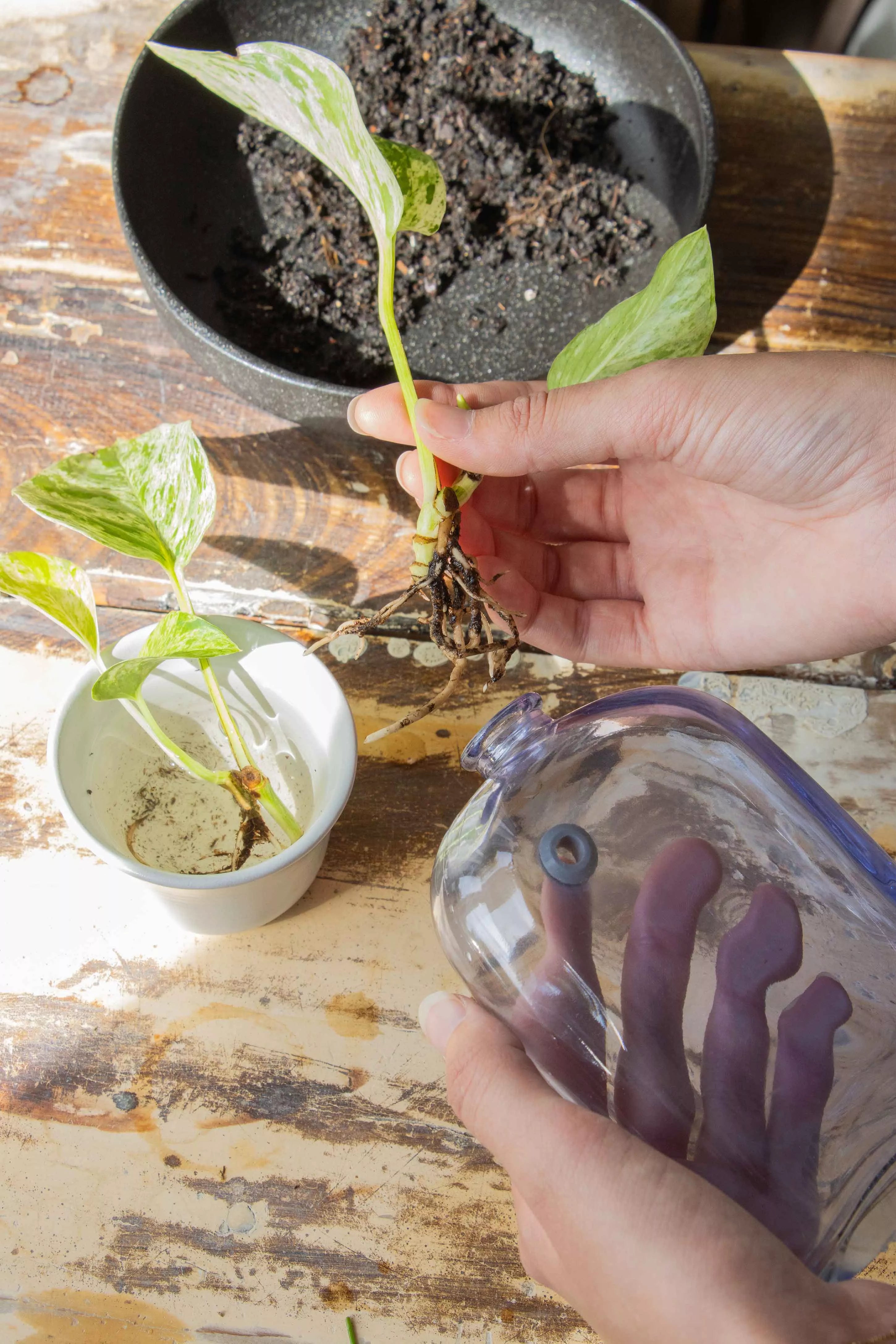 Muurvaasje doorzichtig glas met spijkergaatje, maat M