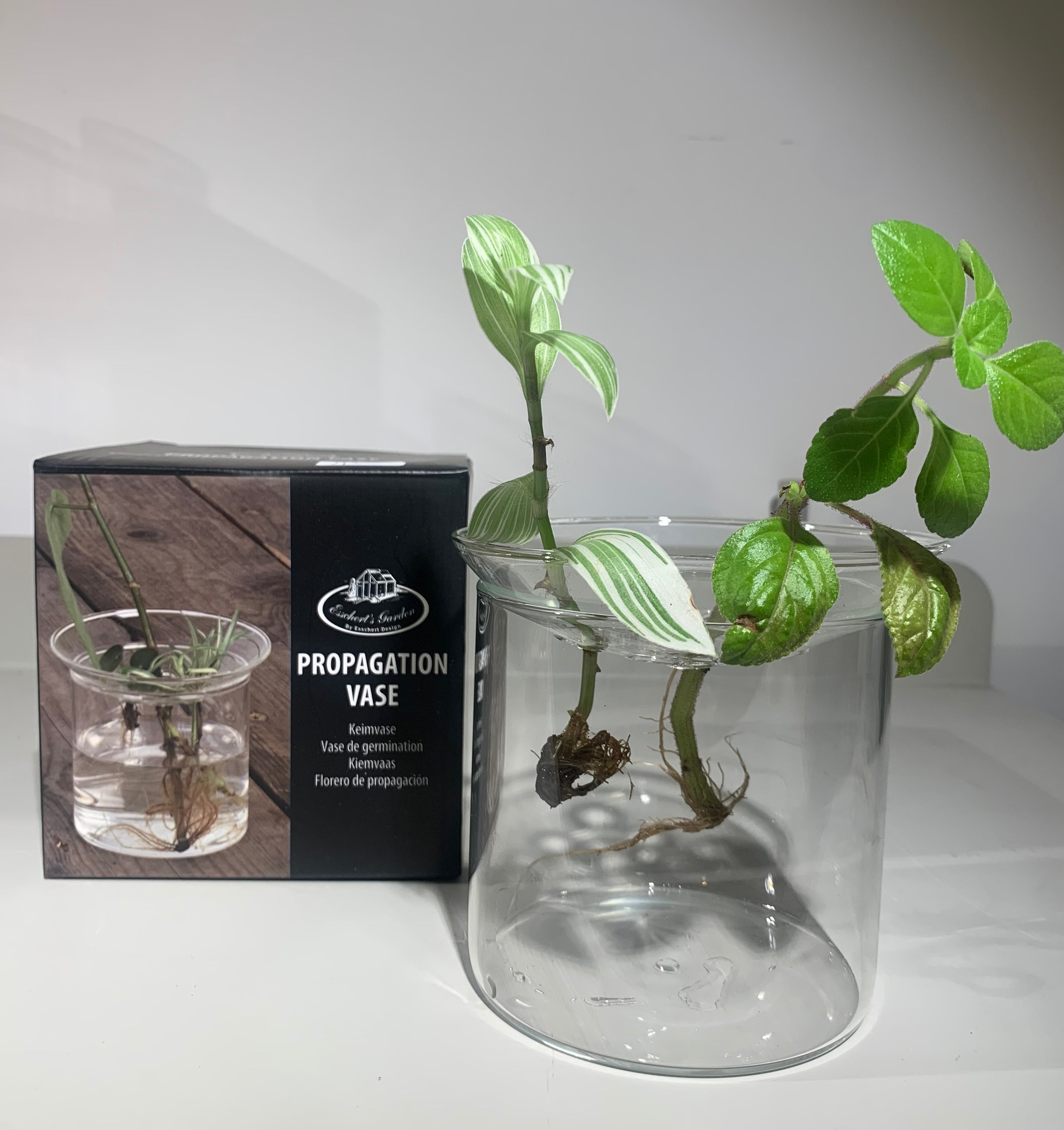 Kiemvaasje Esschert Design, meer gaatjes