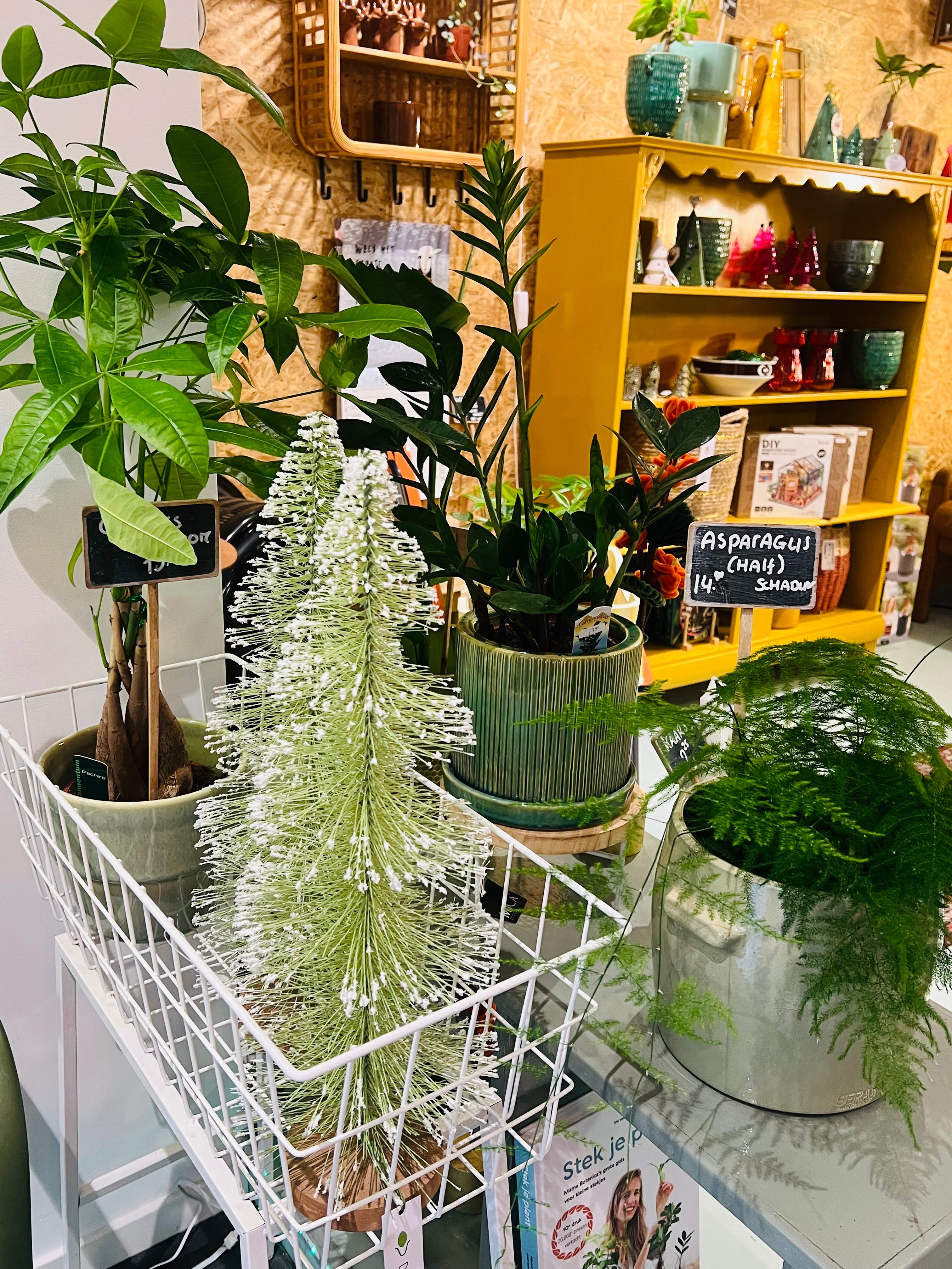 Kerstboom licht groen met sneeuw