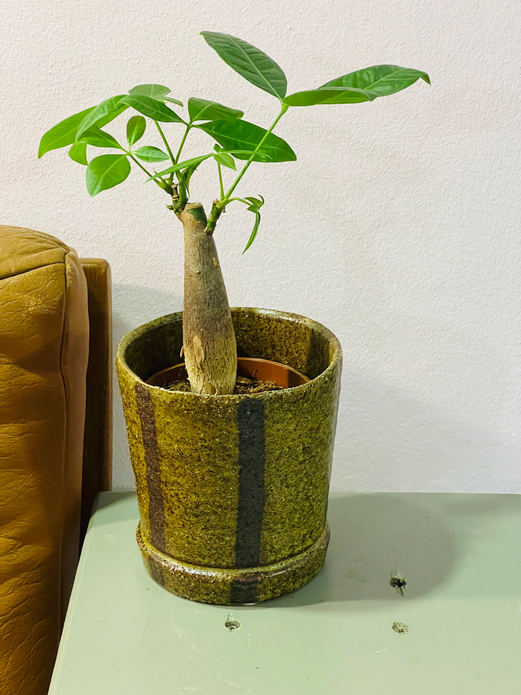 Bloempot mosgroen met bruine streep