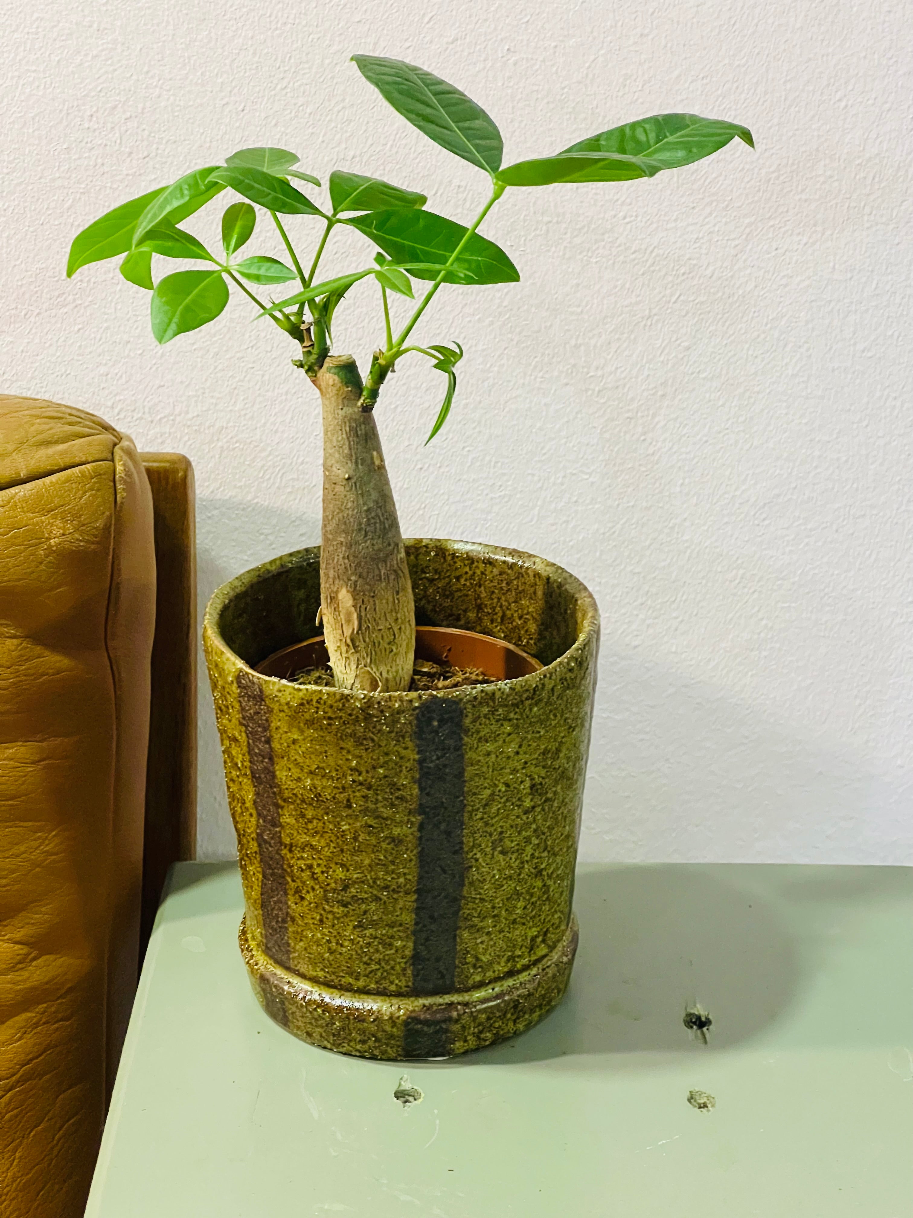 Bloempot mosgroen met bruine streep