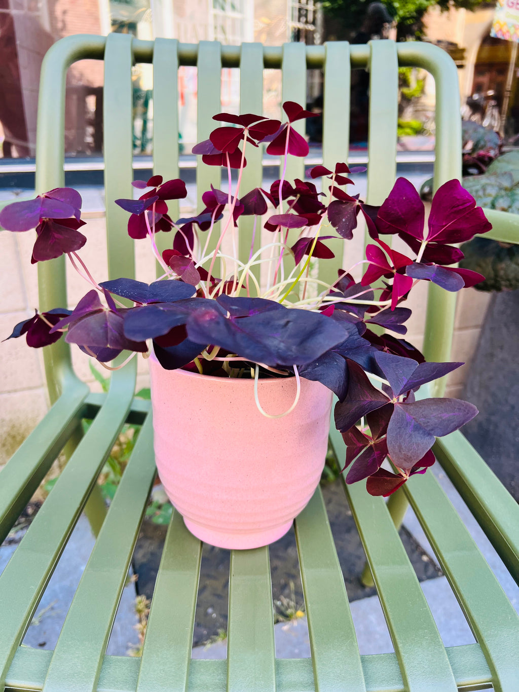 Bloempot licht roze