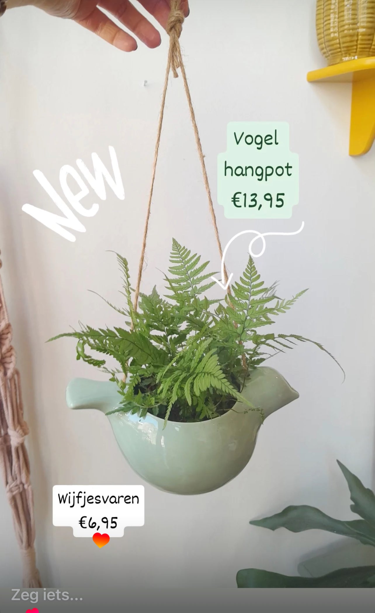 Hangpot vogel groen
