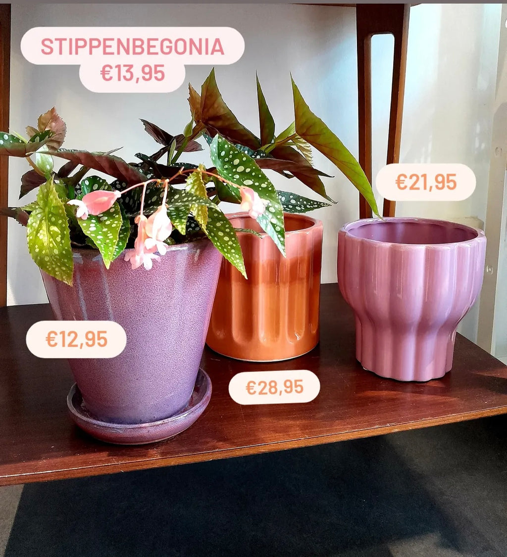 Bloempot roze op voet