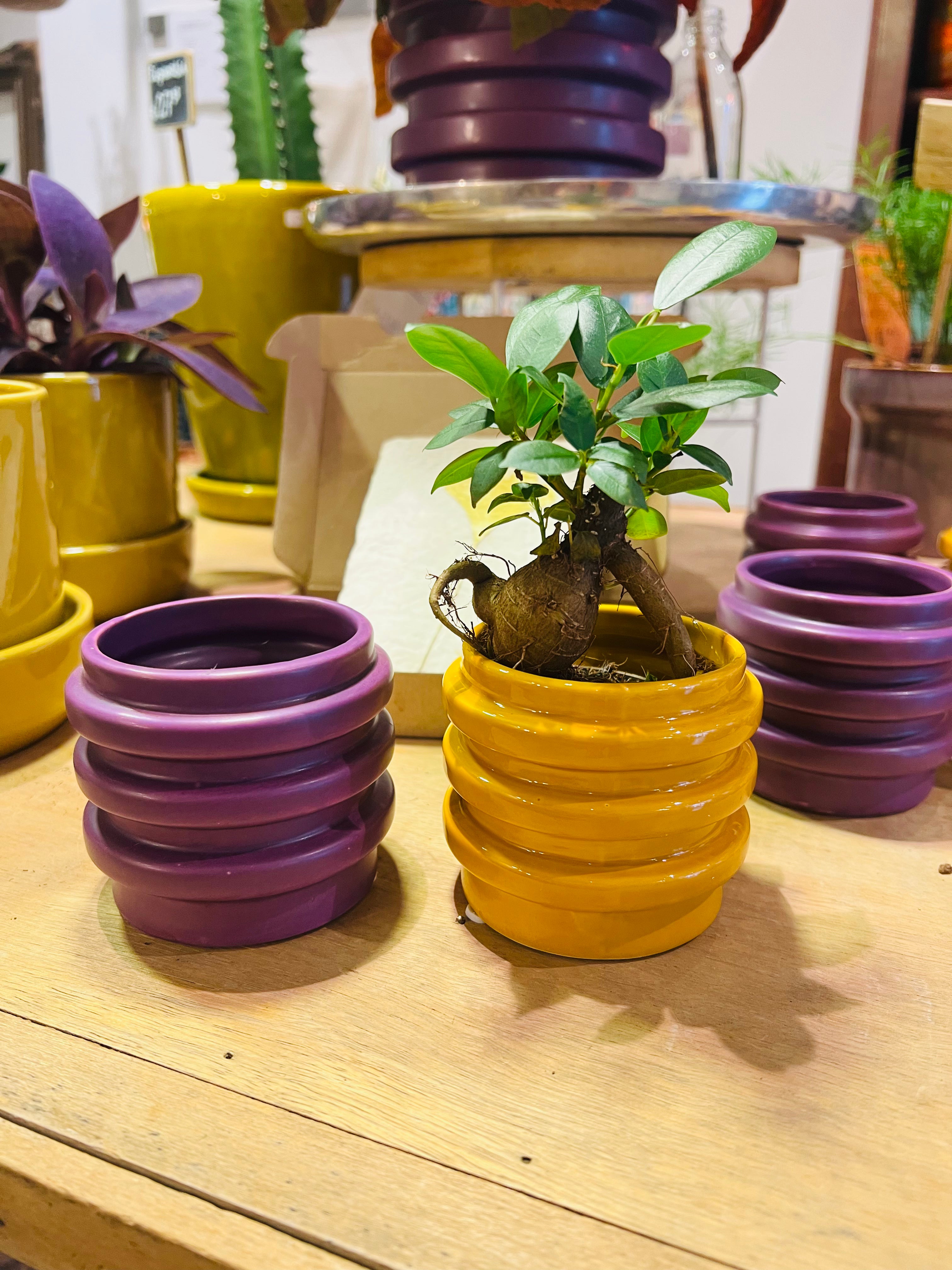 Bloempotje paars mat