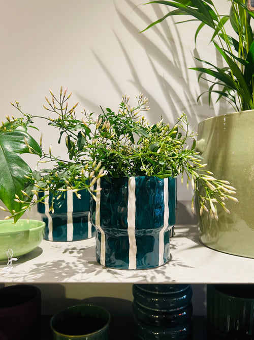 Bloempot Ariona petrol met wit