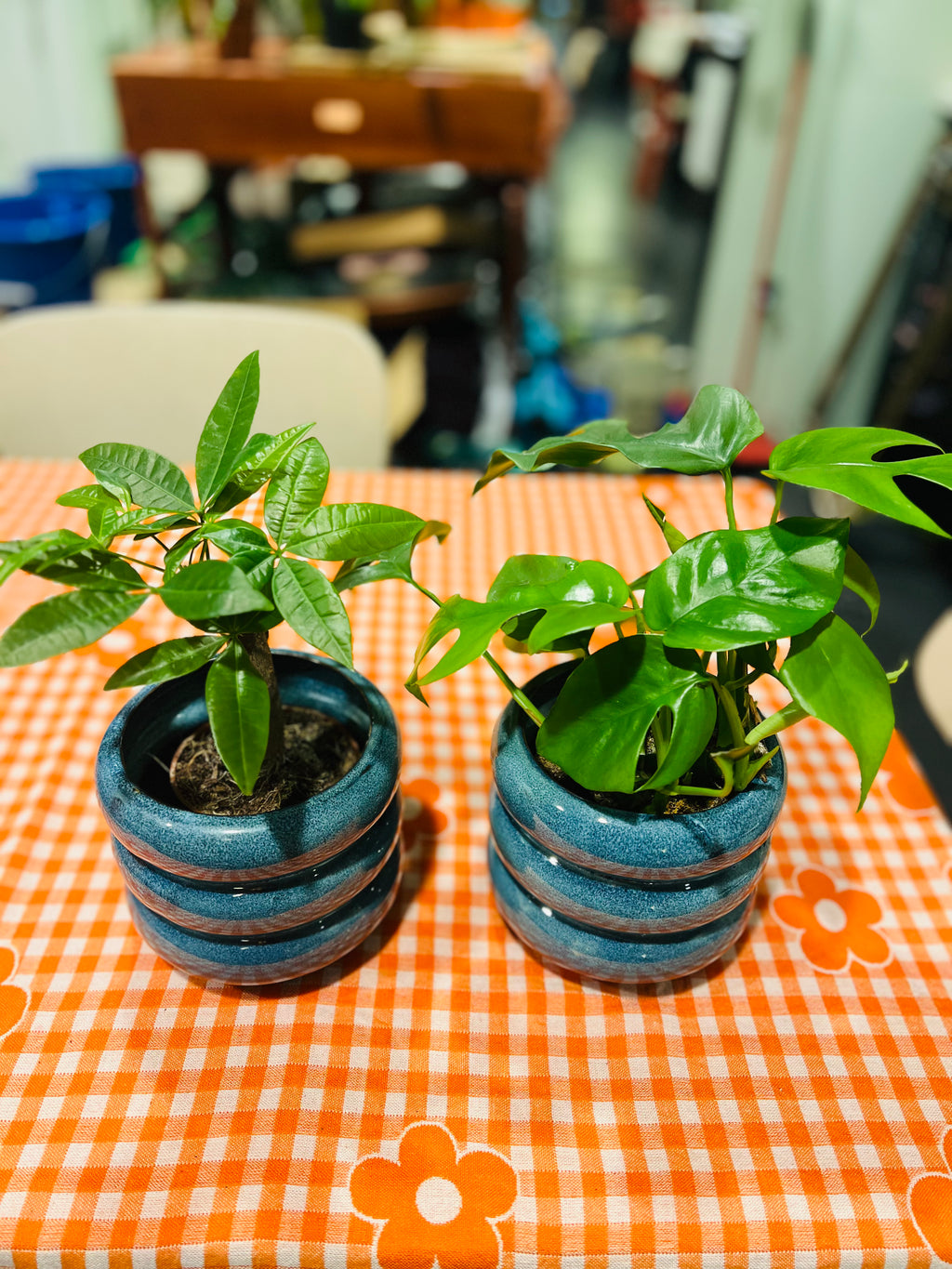 Serax - bloempot Flower blauw