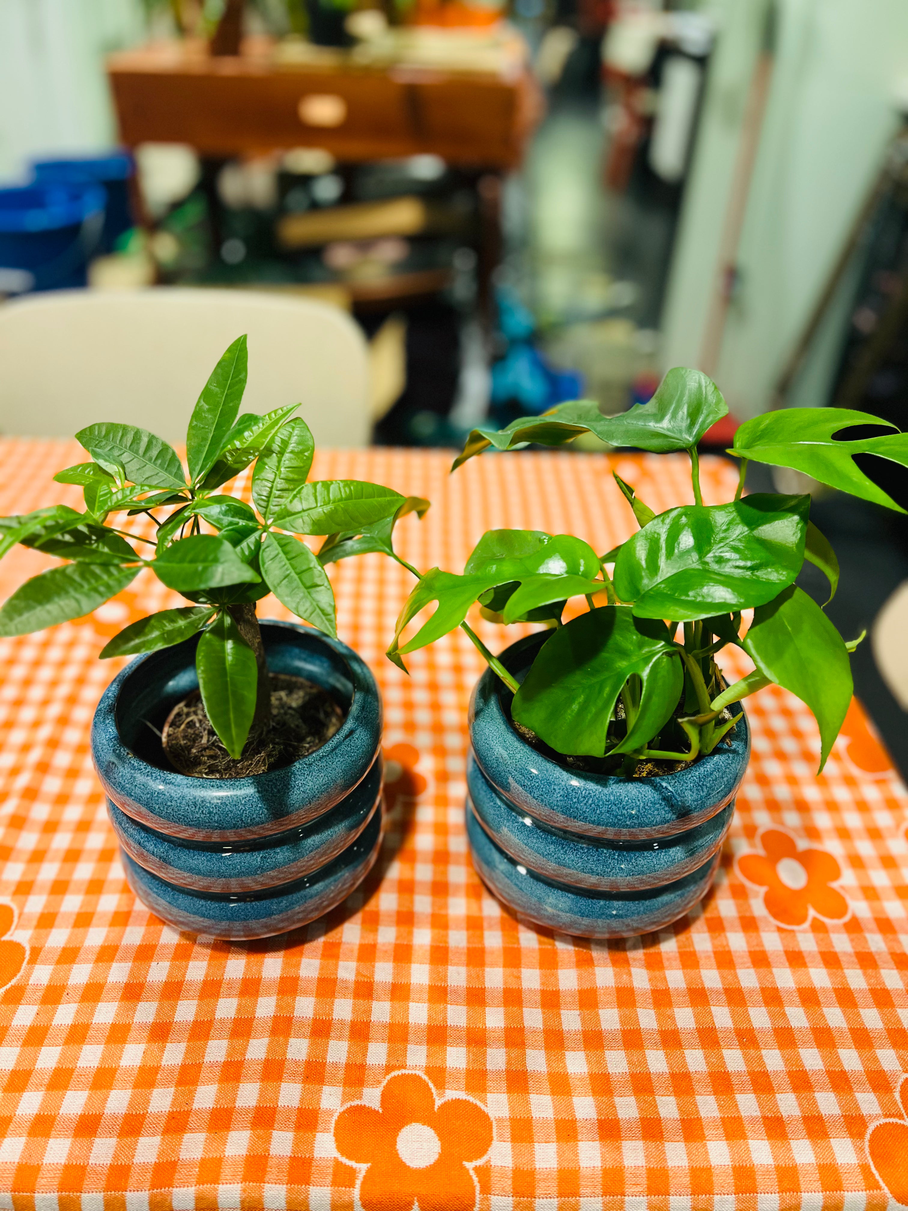 Serax - bloempot Flower blauw