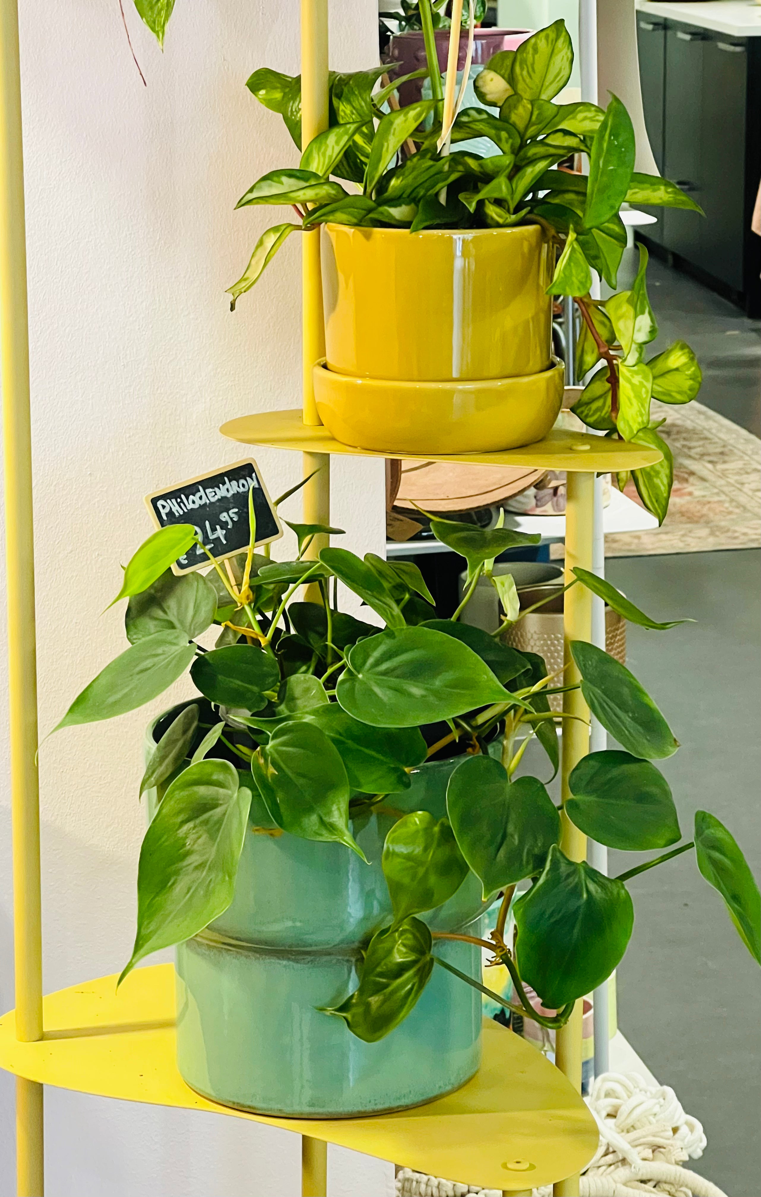 Bloempot Splanky groen met randje terra kleur